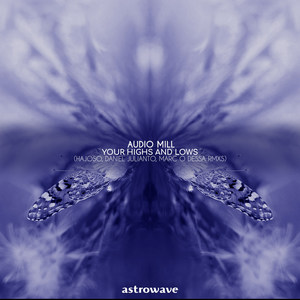 Your Highs and Lows (Hajoso Remix)