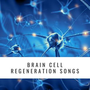 Nerve Regeneration