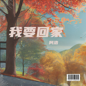 阿洛 - 初雪 Missing You