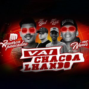 Vai Chacoalhando(feat. Mc Biel & Mc Leléto)(Brega Funk)