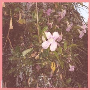 REMEMBER. (feat. Billy Da Gee & BLEHHH) (Explicit)