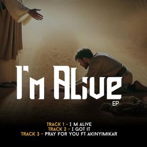 I Got It (feat. Akinyimikar)