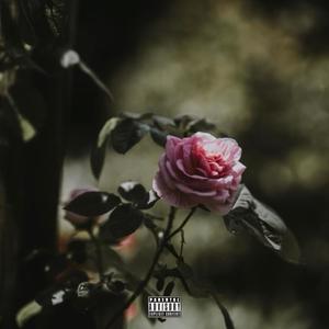 After You (Explicit)