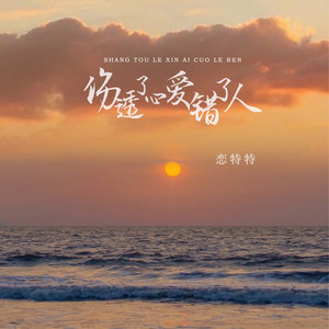伤透了心爱错了人-恋特特