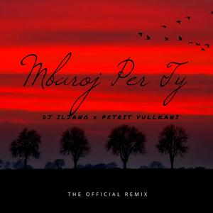 Mbaroj per ty (Official Remix)