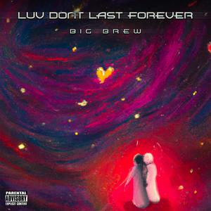 LUV Dont Last Forever (MIXTAPE!) [Explicit]