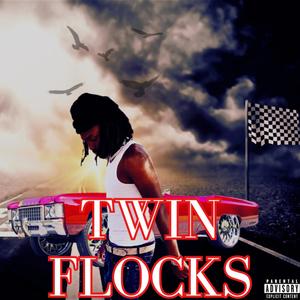 Twin Flocks (Explicit)