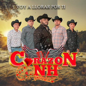 Voy a Llorar Por Ti (En Vivo)