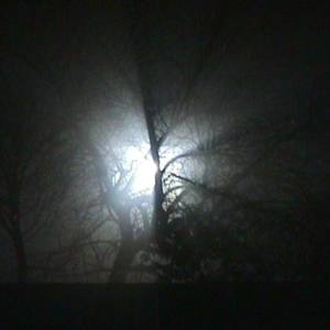 Do You Have What It Takes?