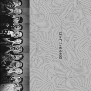 两个人不等于我们 - 北国少年封面