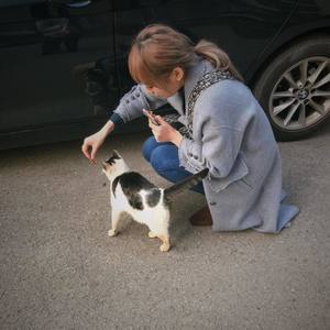 AND THE LIFE GOES ON-街物語 (マグロ鱼酱 remix)