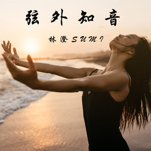 弦外知音封面