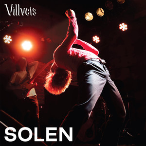 Solen