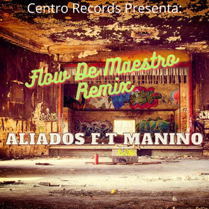 Flow De Maestro (Remix)