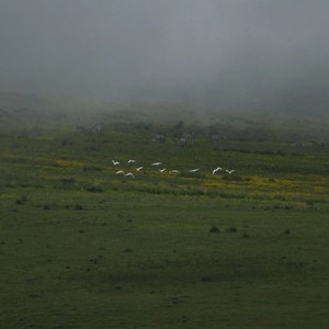 第三人称 (DJ混音版)