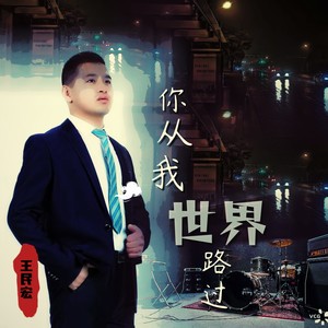 你从我世界路过 (伴奏)