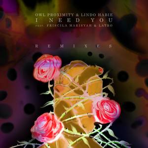 I Need You(feat. Friscila Marisyah & LATRO) (MohRiz Remix)