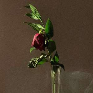 Завтра не настанет