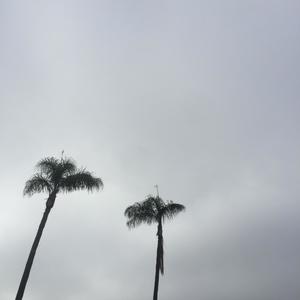 dollar store drinks (Explicit)