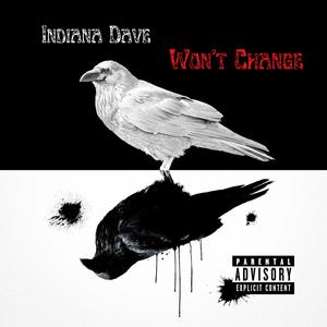 Wont Change (Explicit)