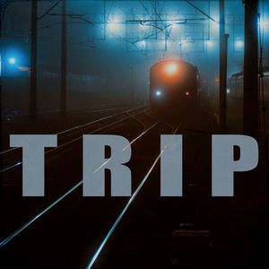 trip