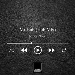 Mr Hub (Hub Mix)