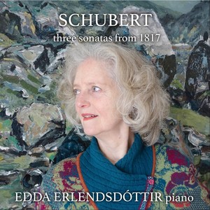 Piano Sonata in A Minor, D. 537 - I. Allegro ma non troppo