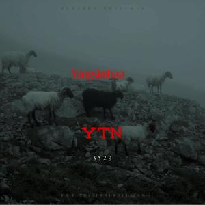 YTN (Explicit)