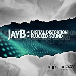 Digital Distortion