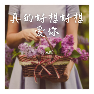 真的好想好想爱你 (伴奏)