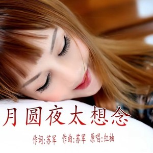 红袖 - 月圆夜太想念 (DJ版)