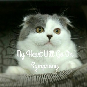 My Heart Will Go On (Remix)