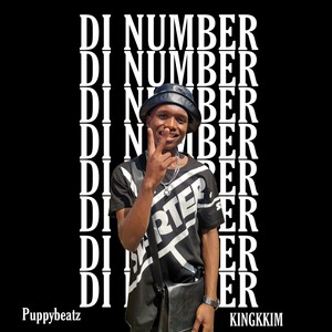 DI NUMBER