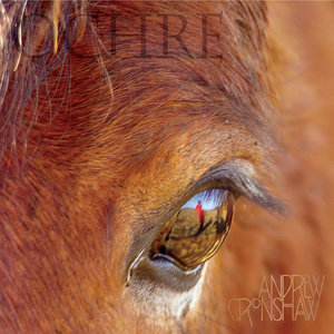 The Colour Of the Rose