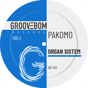 Organ Sistem (Original Mix)