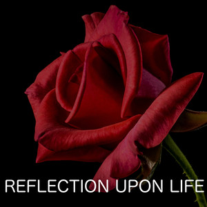 Reflection Upon Life