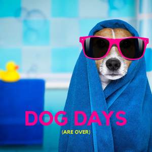 Dog Days (Are Over) : Anti-Anxiety Music for Your Furry Friend