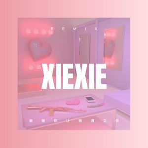 谢谢你让我遇见你