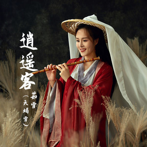 逍遥客 (DJ沈念版)封面