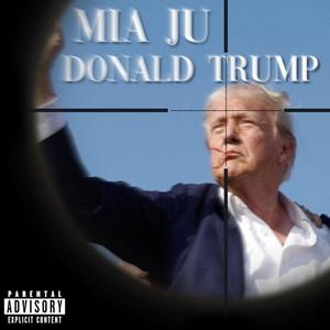 Donald Trump (Explicit)