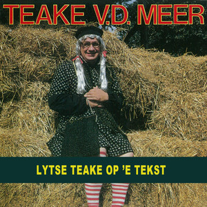 Teake van der Meer op 'e tekst