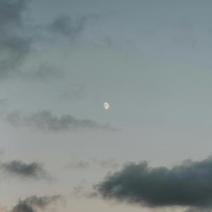 Twilight Moon