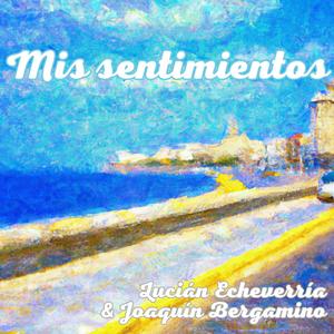 Mis sentimientos