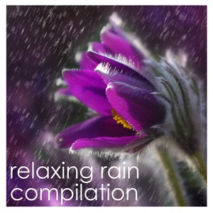 Rain Sound Studio - Brain Relaxation