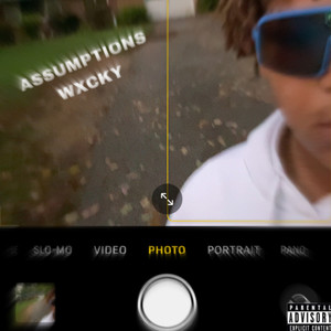 ASSUMPTIONS (Explicit)