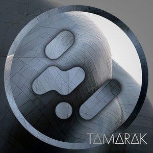 Telemetry (Pete Grove Remix)