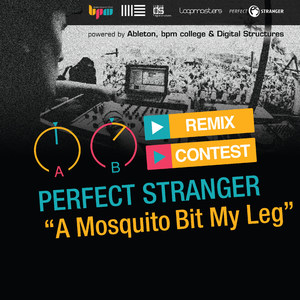 A Mosquito Bit My Leg (Daana & Sketi Remix)