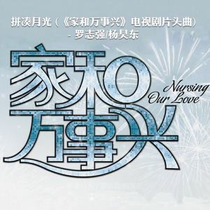 雨泪封面