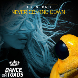 Never Coming Down (Extended Mix)