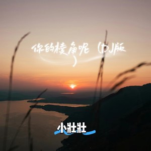 你的棱角呢 (DJ版)